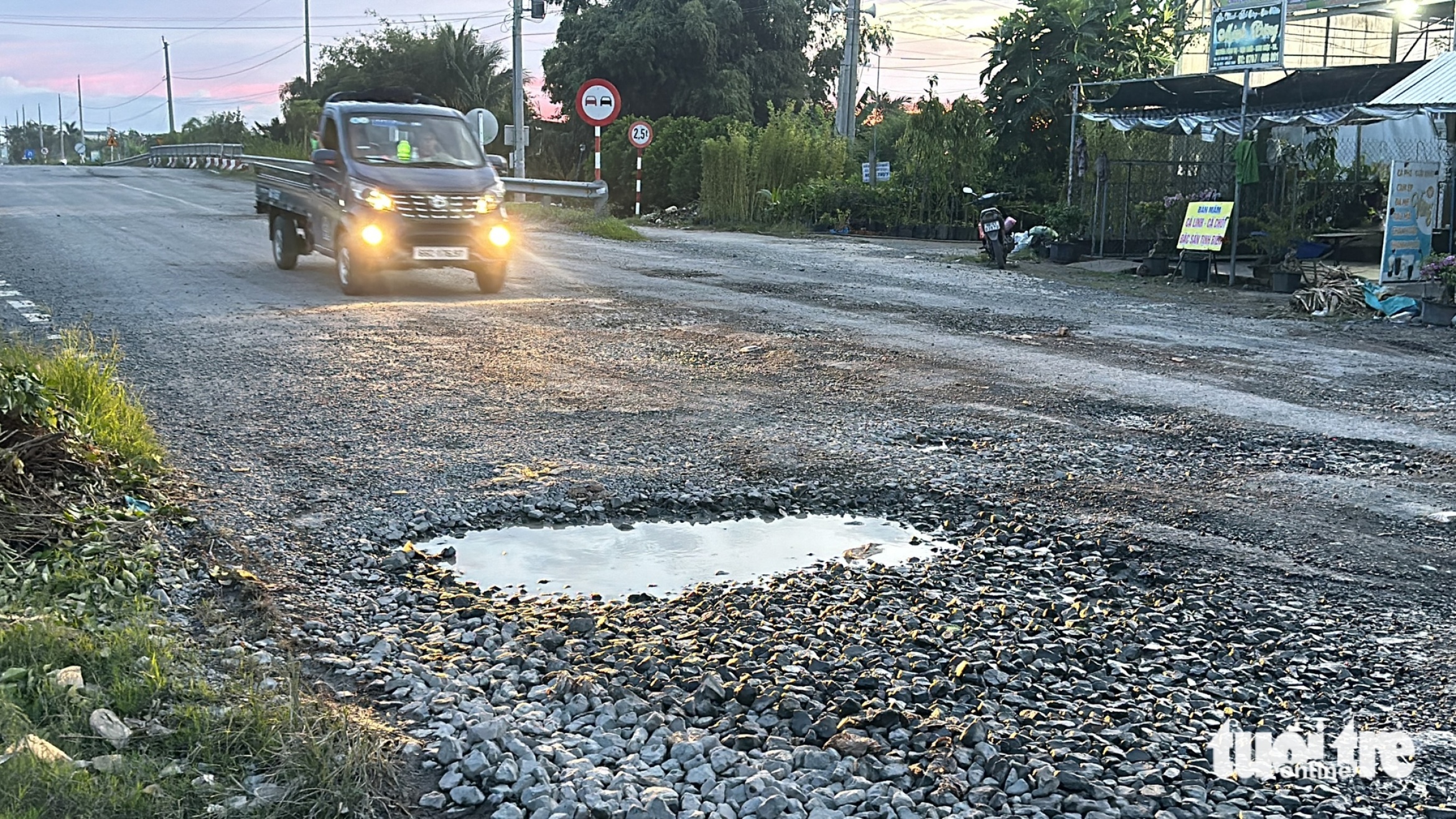 高潮结合大雨导致沙沥花村超过24公顷观赏花卉受损